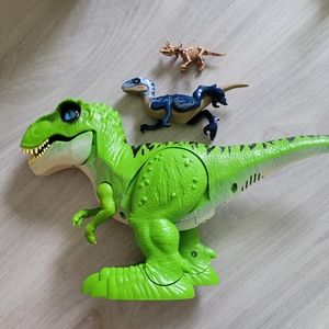 Dinosaurs and fossil bundle